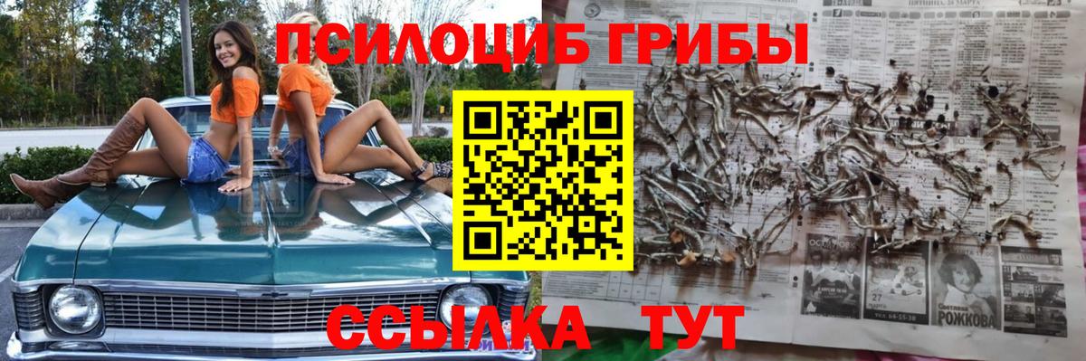 Карабулак  Псилоцибиновые грибы Magic Shrooms  Вход с VPN 